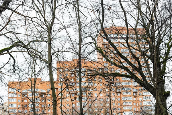 Kale Boomstammen Oranje Flatgebouw Achtergrond Bewolkte Herfstdag Focus Bomen Voorgrond — Stockfoto