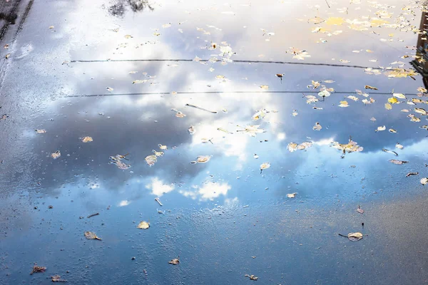 Rain Puddle Surface Asphalt Footpath Fallen Leaves Reflection Blue Sky — Stock Photo, Image