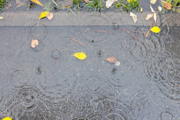 Pohled Shora Louži Asfaltové Pěšině Podzimním Dešti — Stock fotografie