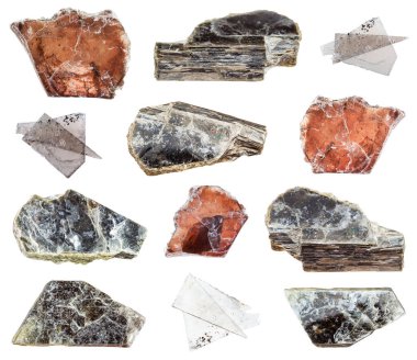 Beyaz arkaplanda izole edilmiş çeşitli Moskovalı doğal minerallerin (Common Mica) koleksiyonu