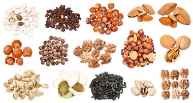 Çeşitli fındıklar (ceviz, balkabağı, çam fıstığı, şam fıstığı, sedir, fındık, badem, ayçiçeği, vs.) beyaz arka planda izole edilmiştir.