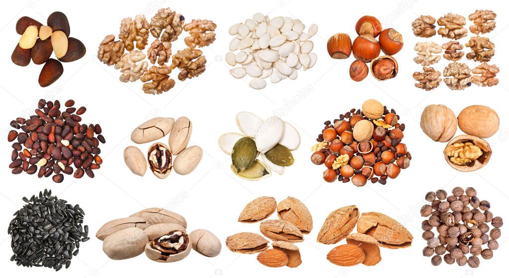 collection of various nuts (walnut, pumpkin, pine, hazelnut, almond, sunflower, etc ) isolated on white background
