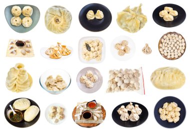 Beyaz arkaplanda çeşitli hamur köfteleri (dim sum, buuz, pelmeni, pyanse, khinkali, manti, vb) koleksiyonu