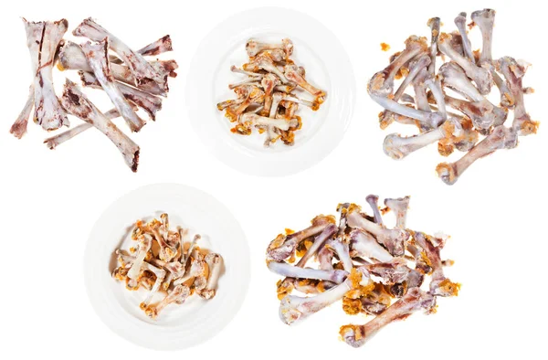 Set Gnawed Chicken Bones Isolated White Background — Stock Photo, Image