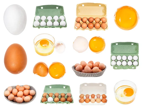 Conjunto Varios Huevos Gallina Crudos Aislados Sobre Fondo Blanco — Foto de Stock