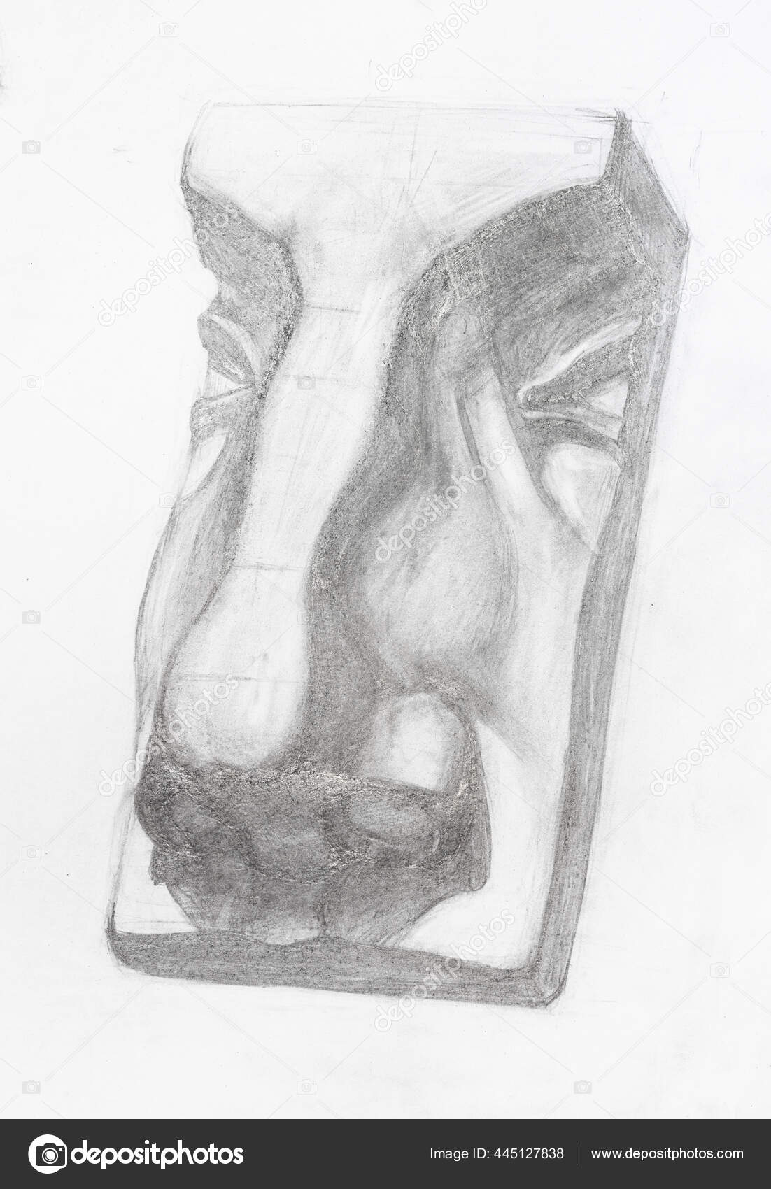 Nose stock image. Image of sketch, pencil, draw, black - 10760611