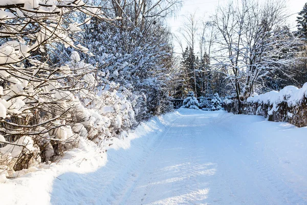 阳光明媚的冬日 村间树篱间的雪地小路 — 图库照片