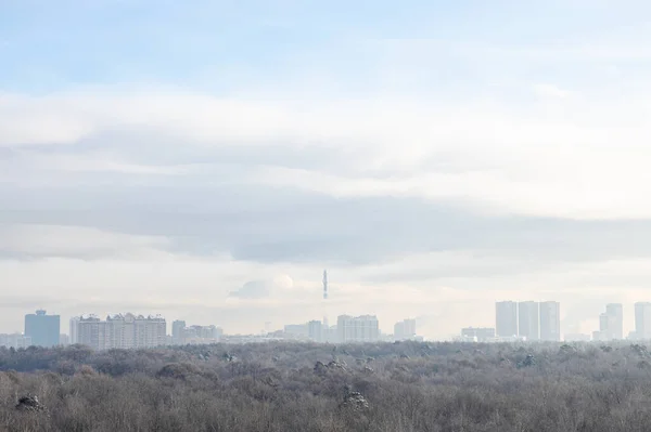 View Forest City Horizon Cold Winter Morning — Stock Photo, Image