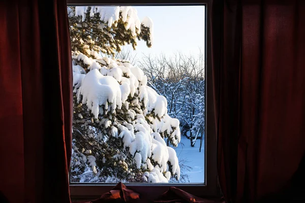 Widok Snowbound Podwórko Przez Okno Wiejskim Domu Zimny Słoneczny Zimowy — Zdjęcie stockowe