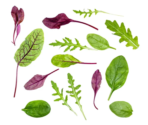 Färska Blad Olika Bladgrönsaker Mangold Spenat Ruccola Isolerade Vit Bakgrund — Stockfoto