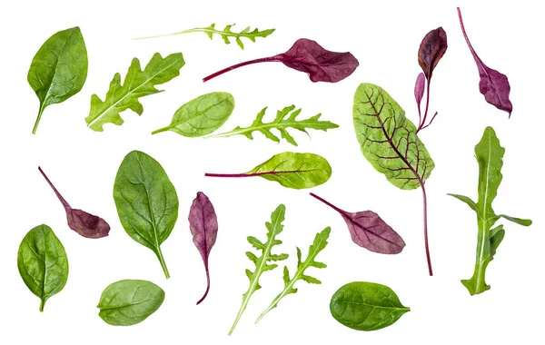 Different Leaves Various Leafy Vegetables Chard Spinach Arugula Isolated White — Stock Photo, Image