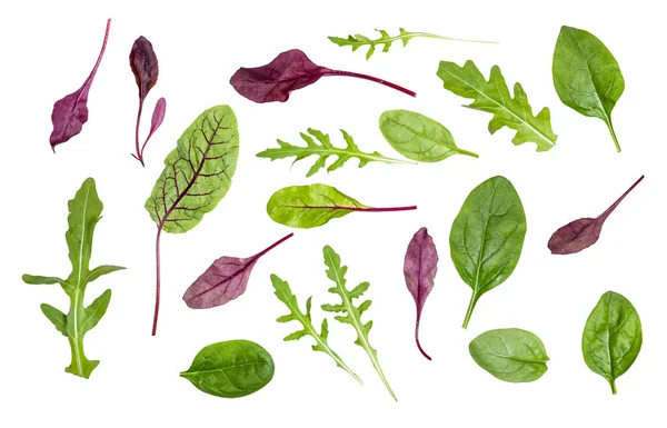 Många Färska Blad Olika Bladgrönsaker Mangold Spenat Ruccola Isolerad Vit — Stockfoto