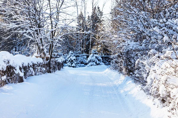 Сніжна Дорога Між Огорожами Селі Холодний Сонячний Зимовий День — стокове фото