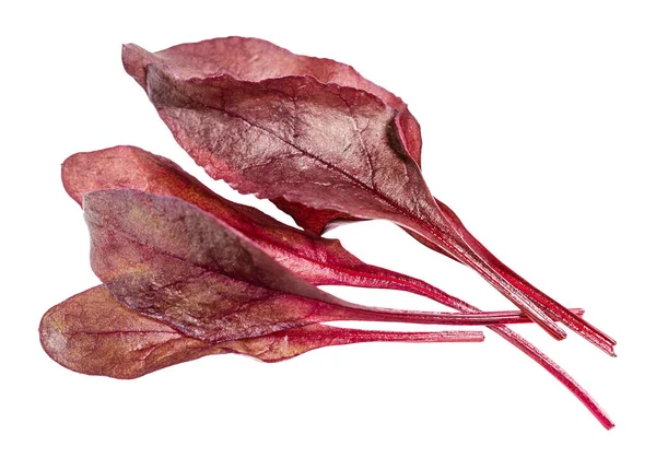 Few Fresh Leaves Red Chard Leafy Vegetable Mangold Beet Tops — Stock Photo, Image