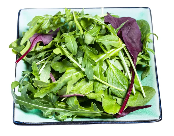 Mix Assorted Small Young Salad Greens Green Square Plate Isolated — Stock Photo, Image