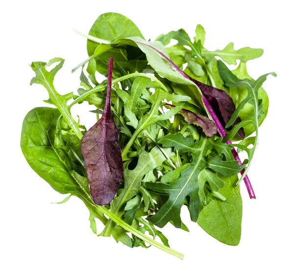 Beyaz Arka Planda Izole Edilmiş Çeşitli Küçük Yeşil Salataların Karışımı — Stok fotoğraf