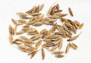 Çeşitli kimyon (cuminum cyminum) tohumları gri seramik plaka üzerine kapanır