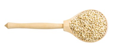 Beyaz arka planda izole edilmiş ahşap kaşık içindeki ham Sorghum iniltilerinin üst görüntüsü