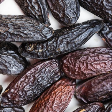 Kare yiyecek arka planı - kurutulmuş tonka fasulyeleri yakın çekim