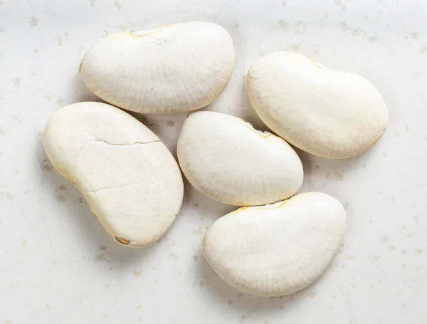 Several Raw Lima Beans Close Gray Ceramic Plate — Stock Photo, Image