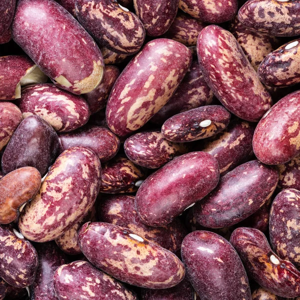 Vierkant Voedsel Achtergrond Rauwe Rode Gevlekte Pinto Bonen Close — Stockfoto