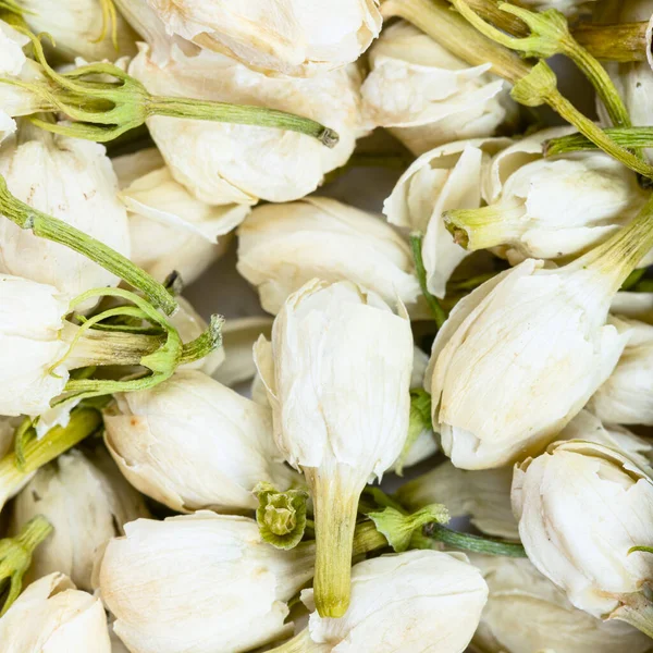 Sfondo Cibo Quadrato Fiori Gelsomino Essiccati Vicino — Foto Stock