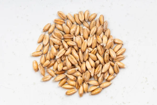 Top View Pile Spelt Wheat Grains Close Gray Ceramic Plate — Stock Photo, Image