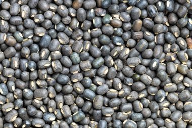 Gıda arka planı - Birçok çiğ siyah urad fasulyesi kapanıyor