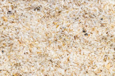 Gıda arka planı - ham psyllium kabuğu kapat