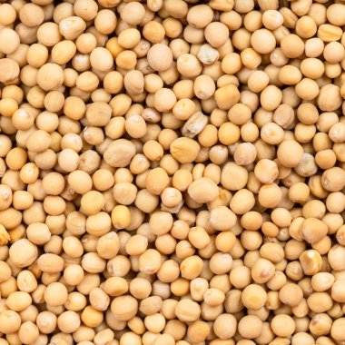 Kare yiyecek arka planı - beyaz hardal tohumları (sinapis alba) yakın plan