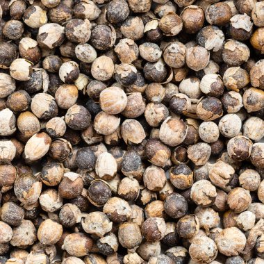 Kare yiyecek arka planı - Keşiş biberi (vitex) kapat