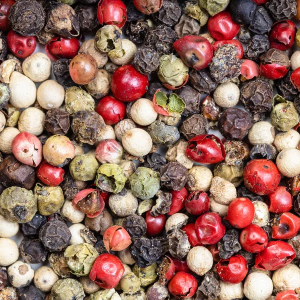 Fondo Comida Cuadrada Cuatro Granos Pimienta Mezcla Cerca —  Fotos de Stock