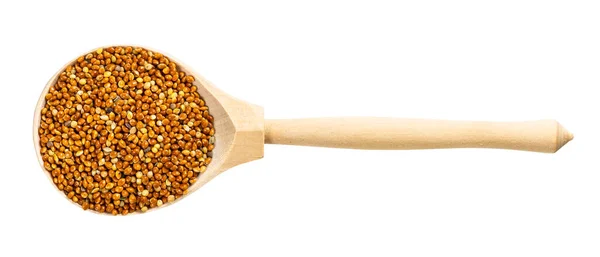 Top View Wood Spoon Unhulled Proso Millet Grains Isolated White — Stock Photo, Image