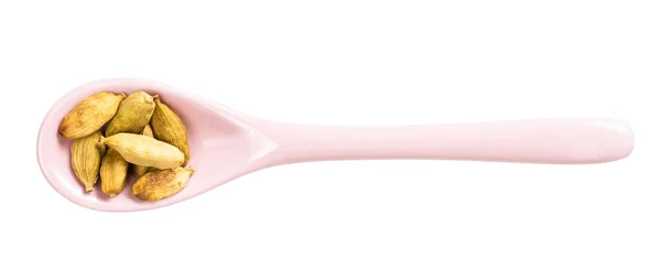 陶瓷勺子的顶部视图 带有在白色背景上分离的豆蔻籽 — 图库照片