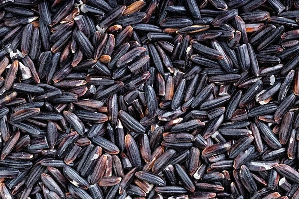 食品の背景 多くの生の黒米の穀物が閉じます — ストック写真