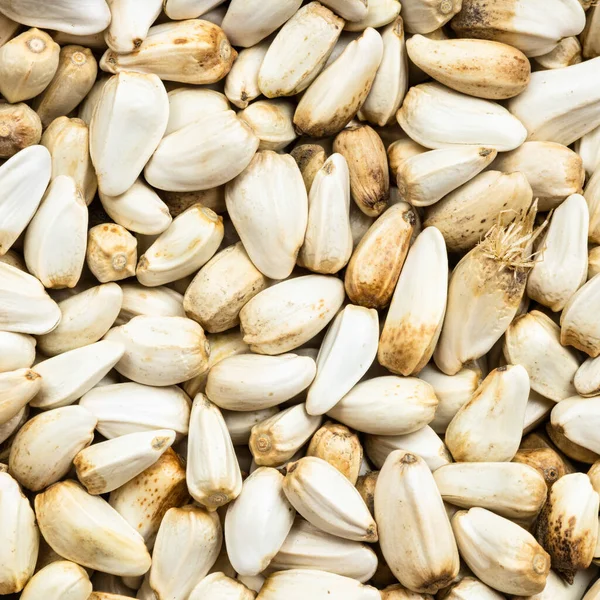 Fundo Comida Quadrada Sementes Cártamo Fechar — Fotografia de Stock