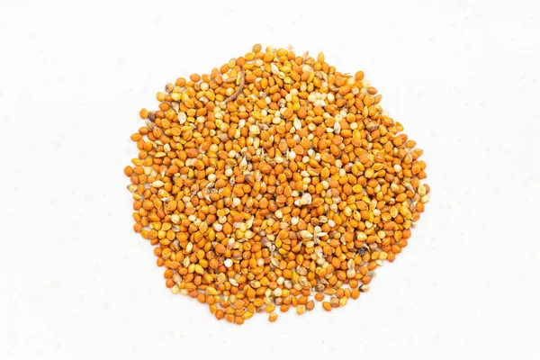 Top View Pile Chumiza Siberian Millet Seeds Close Gray Ceramic — Stock Photo, Image