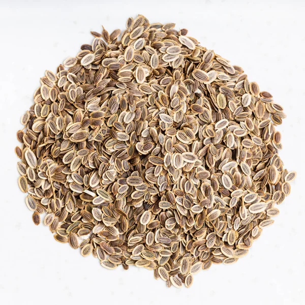 Top View Pile Dried Dill Seeds Close Gray Ceramic Plate — Stock Photo, Image