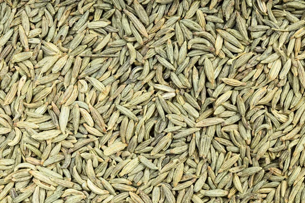 Food Background Many Dried Anise Seeds — Stock Photo, Image