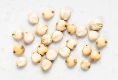 Birkaç ham ham Sorghum taneciği gri seramik tabağa yakın.