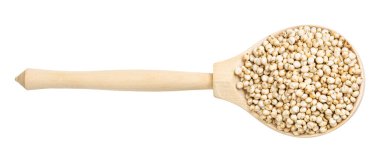 Beyaz arka planda izole edilmiş tahta kaşıktaki işlenmemiş Sorghum tanelerinin üst görünümü