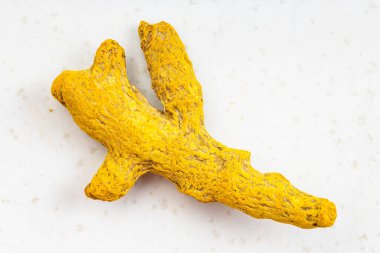 Gri seramik tabakta tek kök zerreciklerin (Curcuma) üst görünümü