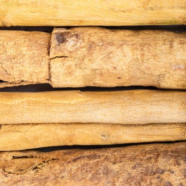 Kare yiyecek arka planı - kıtasal Seylan tarçın çubukları yakın çekim