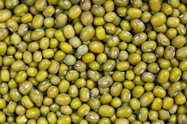 Gıda geçmişi - çiğ yeşil mung fasulyesi