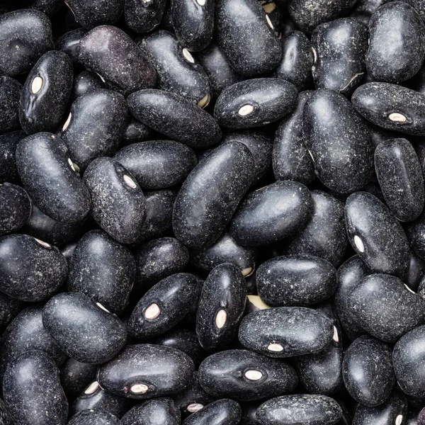 Fondo Comida Cuadrada Frijoles Tortuga Negro Crudo Cerca — Foto de Stock