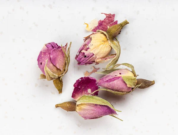 Plusieurs Vieux Boutons Rose Séchés Ferment Sur Une Plaque Céramique — Photo