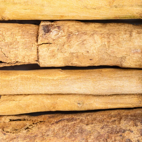 Square Food Background Several Sticks Continental Ceylon Cinnamon Close — Stock Photo, Image