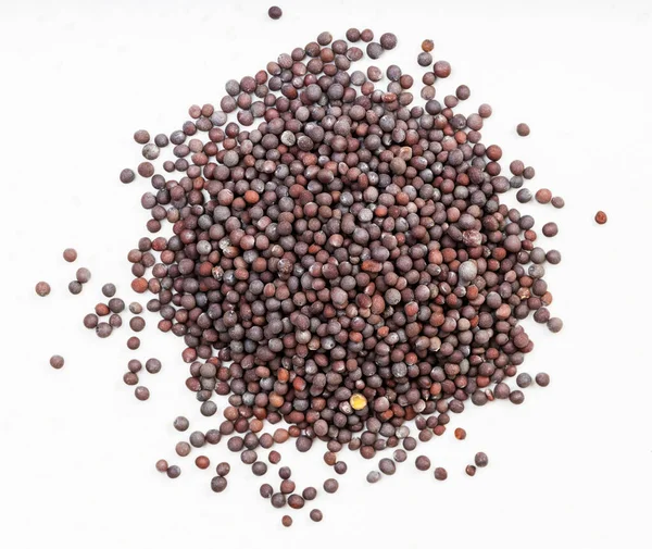 Top View Pile Brown Seeds Brassica Nigra Mustard Close Gray — Stock Photo, Image