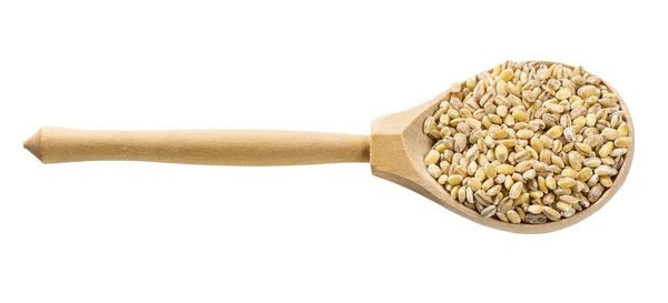 白を基調とした丸みを帯びた大麦粒の木のスプーン — ストック写真