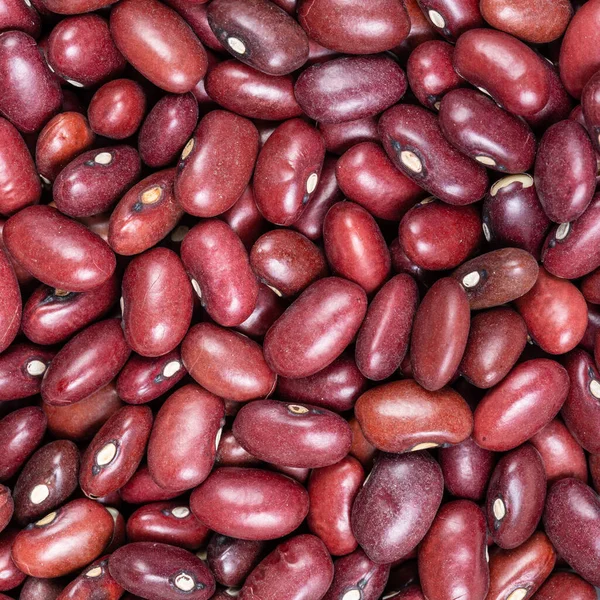 方块食物背景 生墨西哥红豆近缘 — 图库照片